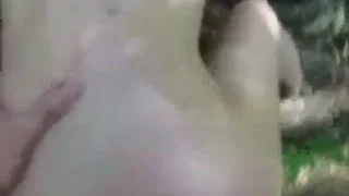 Трахаются в лесу под пение птиц